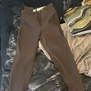 Chocolate Riding Breeches